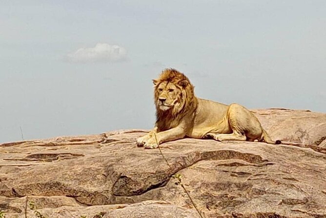 5 Day Camping Safari to Lake Manyara, Serengeti and Ngorongoro Crater - What this five-day safari is really offering