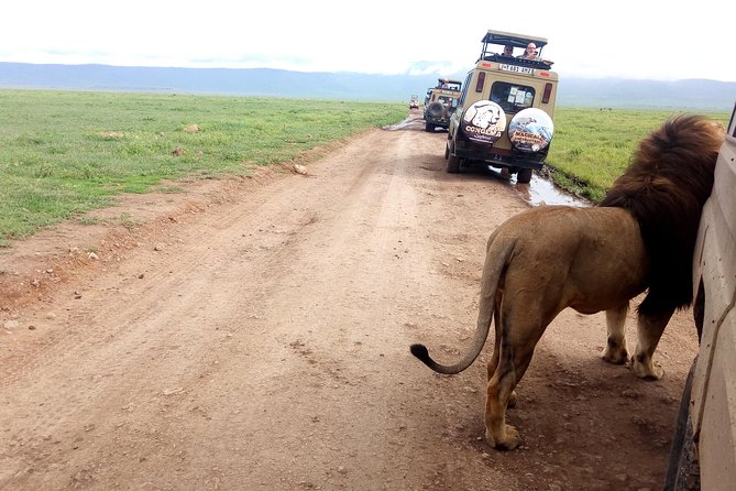 5 Day Camping Safari to Lake Manyara, Serengeti and Ngorongoro Crater - Day 2: The long road into the Serengeti