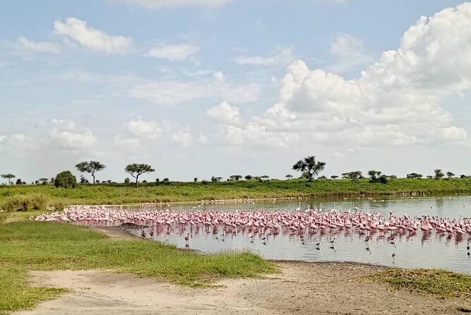 5 Day Camping Safari to Lake Manyara, Serengeti and Ngorongoro Crater - What the $2,280 price includes