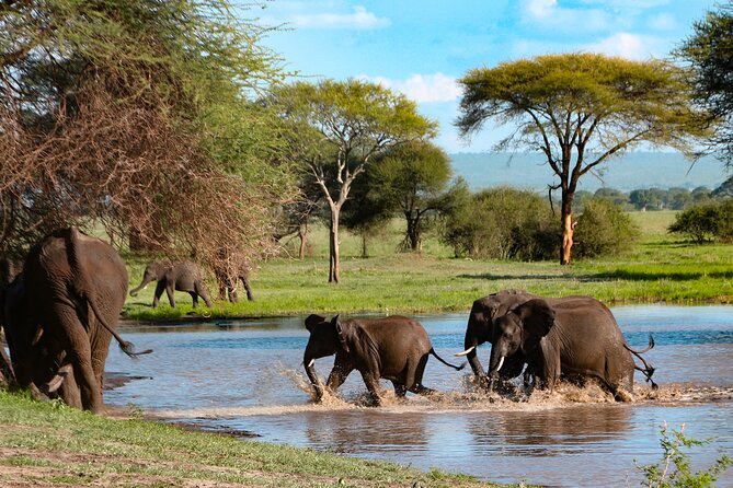 5-Day Group Tour Mid Range - What this five-day route gets right