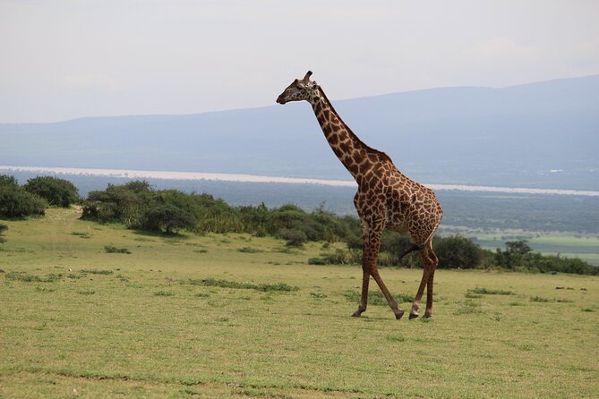 5-Day Highlights mid-Range Crater, Serengeti, Tarangire - Day five: Lake Manyara before the return to Arusha