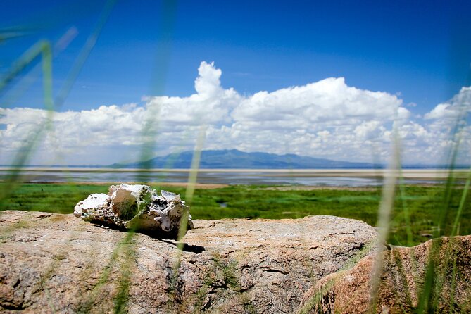 5-Day Majestic Tanzania Safari - High End All Inclusive - Why this safari works for a short Tanzania visit