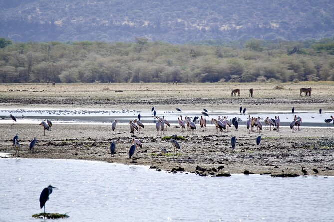 5-Day Majestic Tanzania Safari - High End All Inclusive - Day two: Entering the Serengeti through Seronera