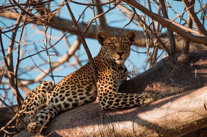 5-Day Mid-Range Safari in Tanzania - Arriving in Arusha on day one