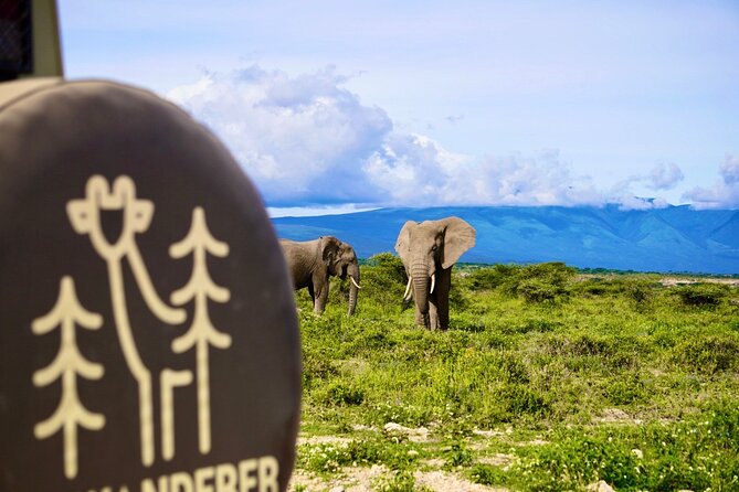 5-Day Mid-Range Safari in Tanzania - How the private format changes the safari