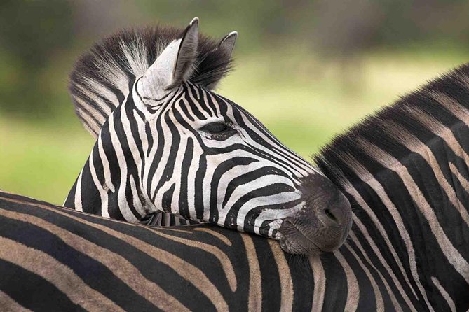 5 Day Mid range Tanzania Safari - Is $2,600 a fair price?