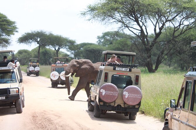 5 Day Mid range Tanzania Safari - Day 2: From the highlands into the Serengeti