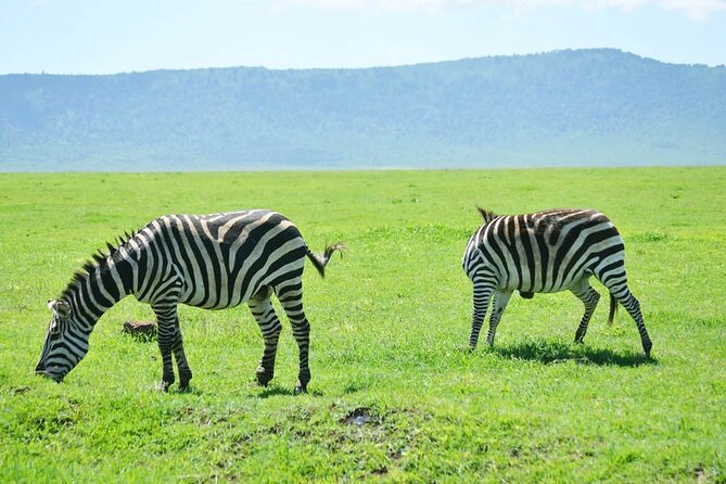 5-Day Ngorongoro Crater and Lake Manyara Safari from Arusha - Camping, lodges, and the food arrangement