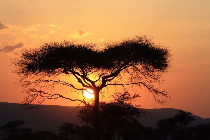 5-Day private Camping Safari Tour in Tanzania - Private tour or shared camping departure?