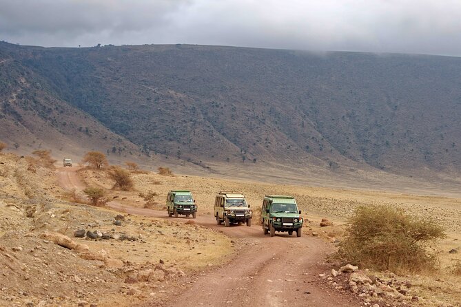 5-Day Private Camping Tour to Serengeti, Ngorongoro & Tarangire - The big picture: three famous parks, one fast circuit