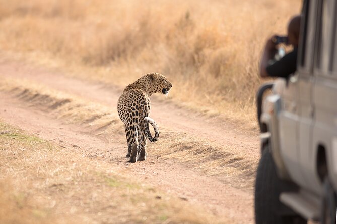 5-Day Private Camping Tour to Serengeti, Ngorongoro & Tarangire - Night one: what camping means here