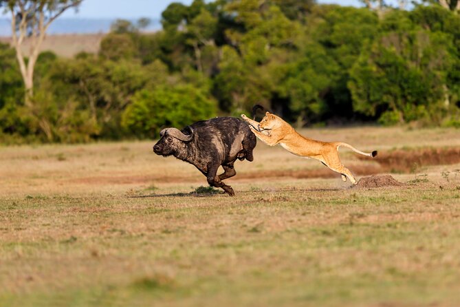 5-Day Private Camping Tour to Serengeti, Ngorongoro & Tarangire - Day 2: crossing toward Serengeti through Ngorongoro