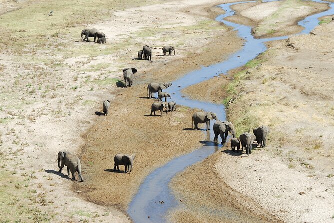 5-Day Private Camping Tour to Serengeti, Ngorongoro & Tarangire - Day 5: descending 600 meters into Ngorongoro Crater