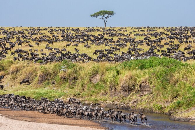 5-Day Private Camping Tour to Serengeti, Ngorongoro & Tarangire - What the $2,051.29 price covers