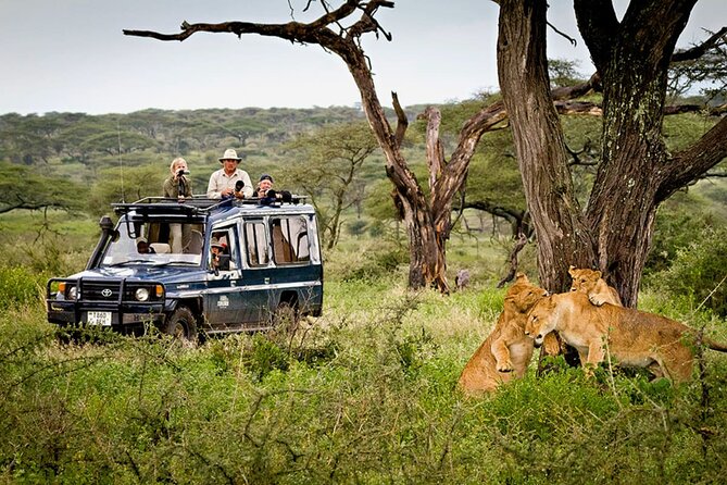 5 Day Private Guided Wildebeest Migration Tour - What the five-day route gets right
