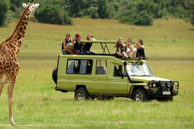 5 Day Private Guided Wildebeest Migration Tour - Day 2: A crater floor filled with wildlife