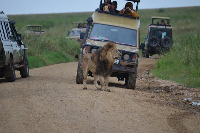 5 Day Private Lodge & Camping Tour of Tarangire, Serengeti & Ngorongoro Crater - Key points to know before booking