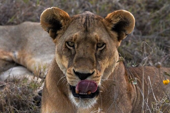 5-Day Private midrange Tour in Arusha with Airport Pickup - Day 5: Ngorongoro Crater and Lake Magadi