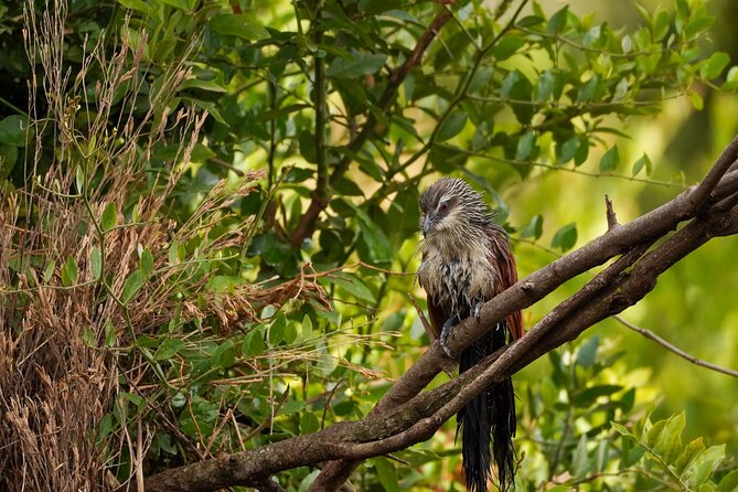 5-Day Private midrange Tour in Arusha with Airport Pickup - Meals, lodging, and comfort at the midrange level