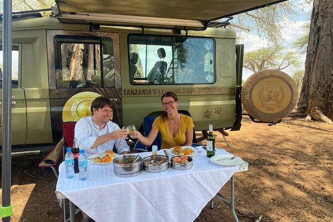 5-Day Private Northern Tanzania Safari from Arusha - Day 3: A full Serengeti search for big cats
