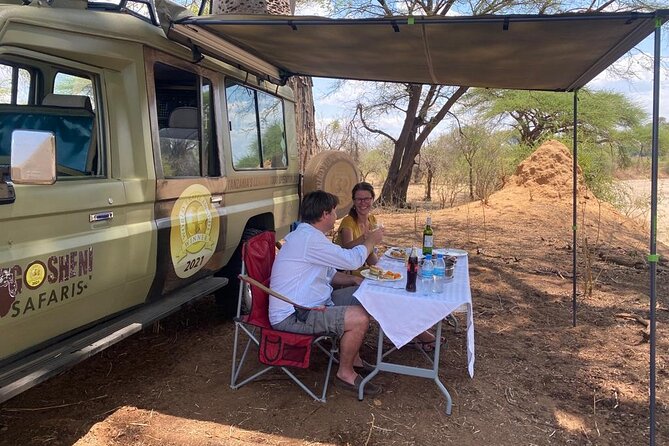 5-Day Private Northern Tanzania Safari from Arusha - Day 4: Central Serengeti, then the Ngorongoro highlands