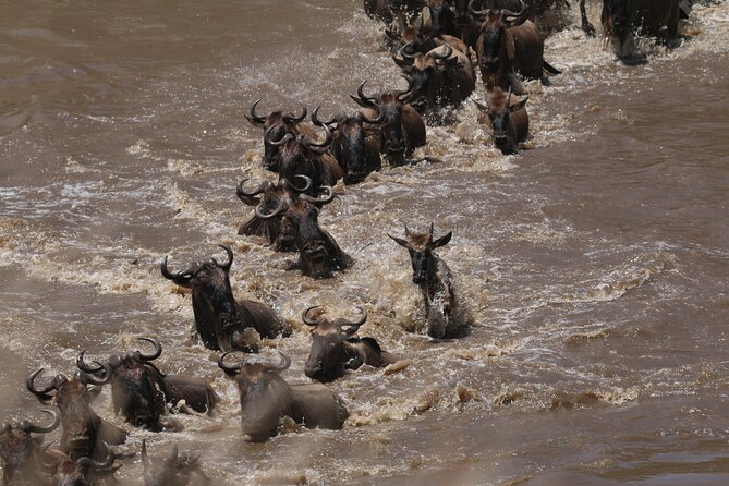 5-Day Private Northern Tanzania Safari from Arusha - Guide quality and the value of a private vehicle