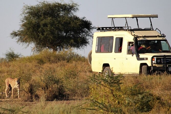 5-Day Private Safari Tour in Tanzania's Wildlife - Day 4: Descending 600 meters into Ngorongoro Crater