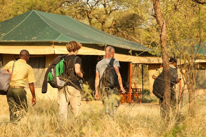 5-Day Private Safari Tour in Tanzania's Wildlife - The private vehicle is the real advantage