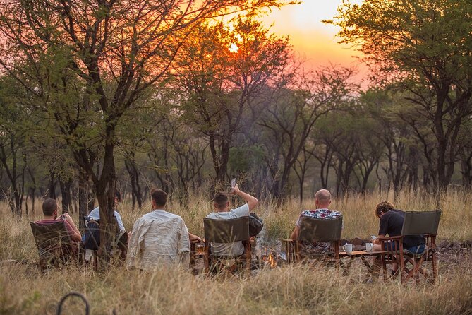 5-Day Private Safari Tour in Tanzania's Wildlife - Day 2: From the Ngorongoro rim to Serengeti