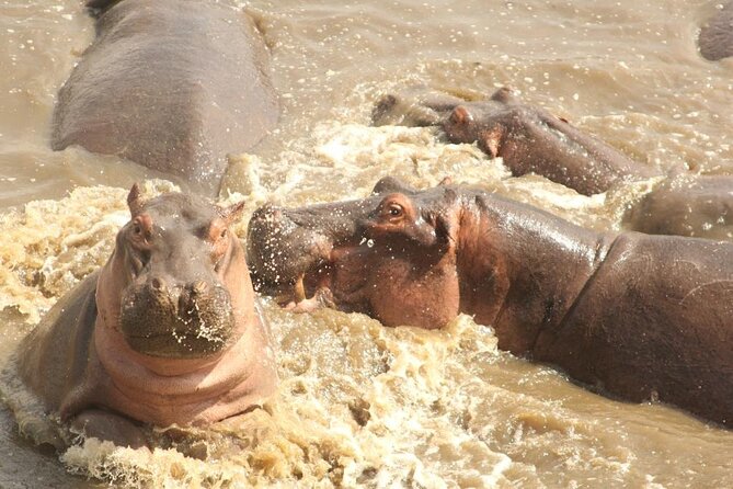 5 day safari Tarangire Serengeti and Ngorongoro crater - Accommodation, meals, and what the price covers
