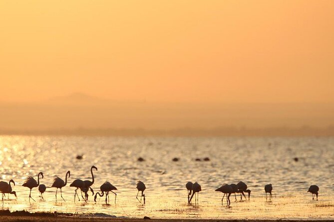 5 Day: Scenic Northern Circuit Safari - Day 1: Forest, lake, and wildlife at Lake Manyara