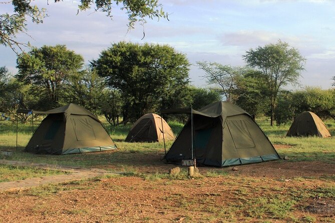 5 Day Tanzania Safari Camping Adventure Private Tour - Day 4: Descending almost 600 metres into Ngorongoro Crater