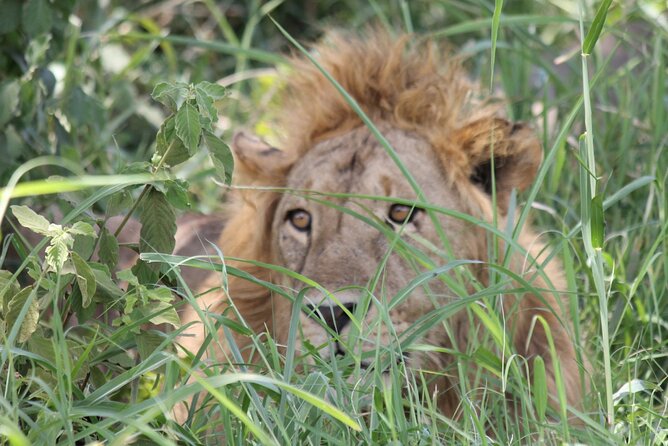 5 Day Tanzania Safari Camping Adventure Private Tour - Is $2,299 per person good value?