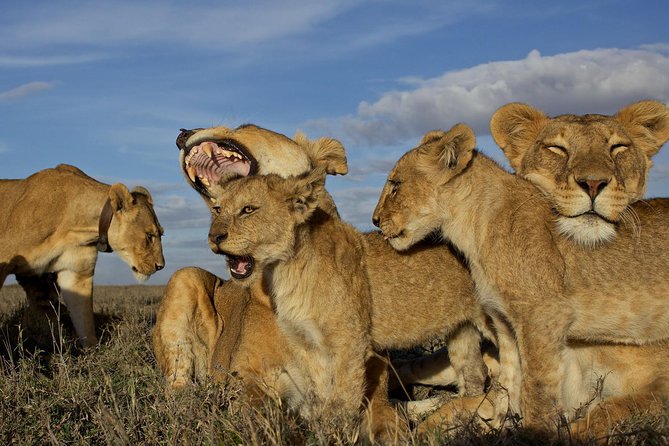 5 Days / 4 Nights Join group safari - Ngorongoro Crater adds dramatic views