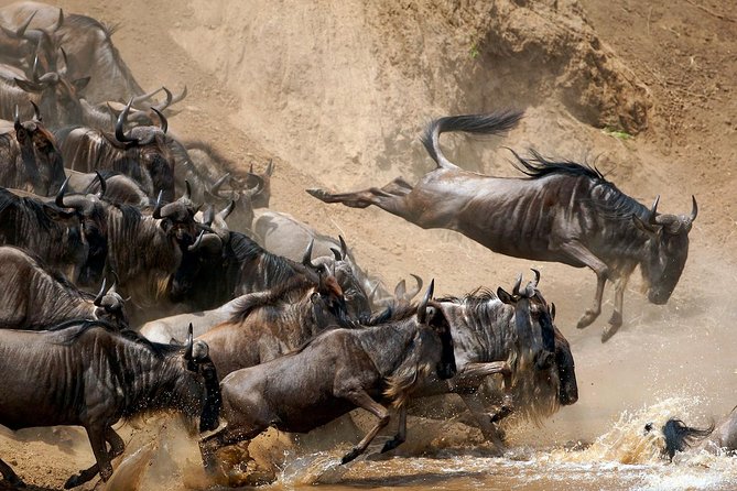 5 Days / 4 Nights Join group safari - Meals, water, and comfort on the road
