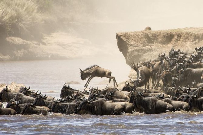 5 Days 4 Nights Tarangire, Serengeti , Ngorongoro & Manyara Wildlife Safari - Day 2: The road to the endless Serengeti