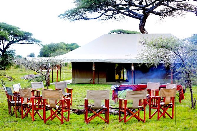 5 Days 4 Nights Tarangire, Serengeti , Ngorongoro & Manyara Wildlife Safari - Day 3: A full Serengeti day and a crater-bound evening