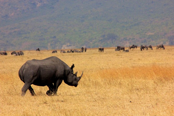 5 Days 4 Nights Tarangire, Serengeti , Ngorongoro & Manyara Wildlife Safari - Day 4: Wildlife inside Ngorongoro Crater
