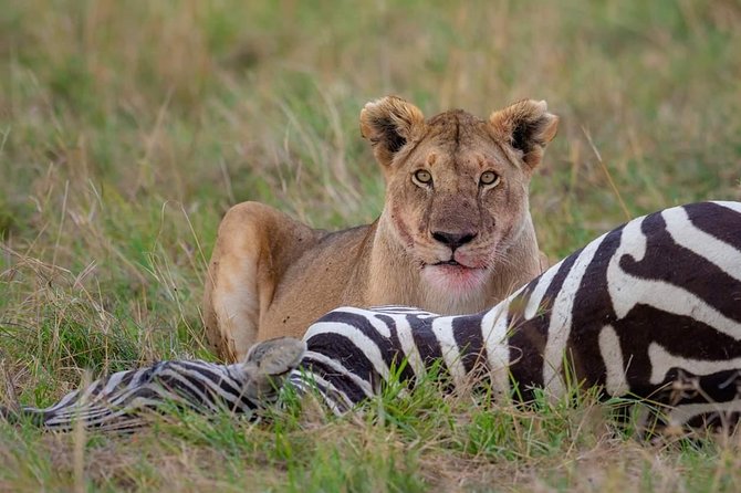 5 Days Affordable Budget Safari to Northern Tanzania - Day 1: Tarangire and its giant baobabs