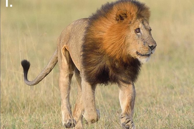 5 Days Affordable Budget Safari to Northern Tanzania - Day 2: The long road into the Serengeti