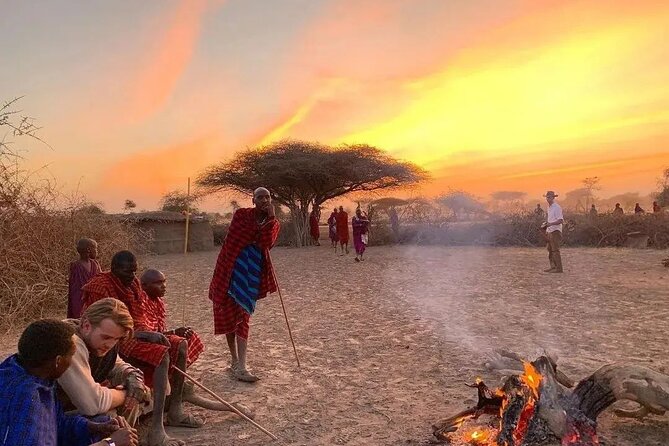 5- Days Best Mid-range Safari and Maasai Village experience - Day 3: A full Serengeti game drive