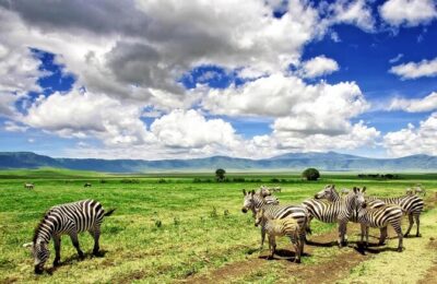 5- Days Best Mid-range Safari and Maasai Village experience