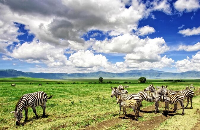 5- Days Best Mid-range Safari and Maasai Village experience - Day 2: The long road into the Serengeti