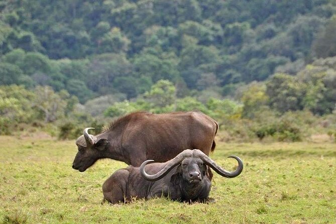 5 Days Budget Private Safari, Tanzania - Day 2: The long road to the Serengeti