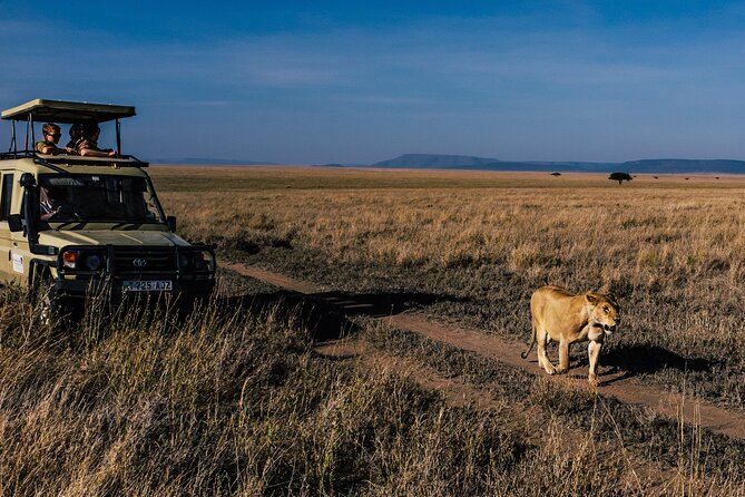 5 Days Budget Safari in Tanzania - What $1,200 buys you in five days