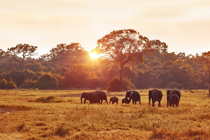 5 Days Budget Safari in Tanzania - The guide and vehicle can shape the whole trip