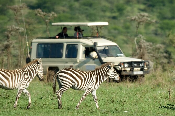 5 Days Budget Safari in Tanzania - Day 1: Tarangire’s elephants and baobabs