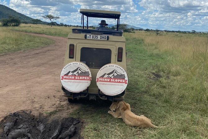 5 Days Camping Tarangire, Serengeti & Ngorongoro crater & Visiting Maasai - Day 3: Your main Serengeti game-drive day