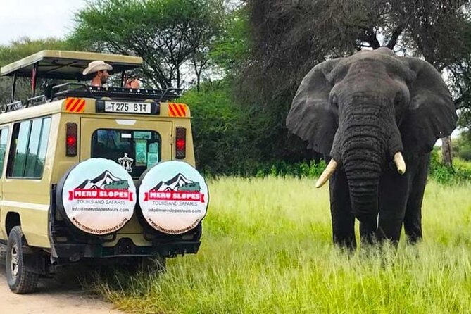 5 Days Camping Tarangire, Serengeti & Ngorongoro crater & Visiting Maasai - Mto wa Mbu and the local side of the trip