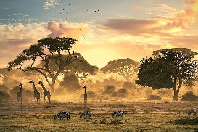 5 Days Camping Tarangire, Serengeti & Ngorongoro crater & Visiting Maasai - Camping comfort, food, and practical effort